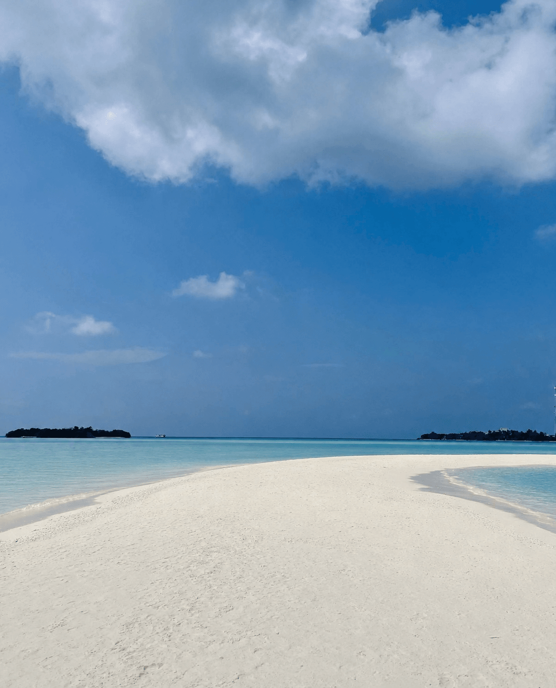 Sandbank Picnic